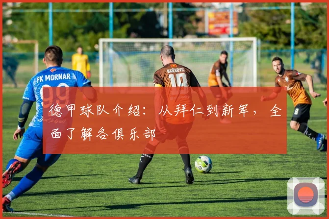 德甲球队介绍：从拜仁到新军，全面了解各俱乐部